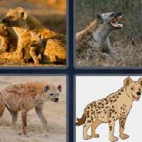 4 fotos 1 palabra 5 letras hiena