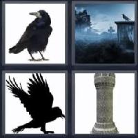 4 fotos 1 palabra 6 letras cuervo