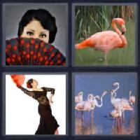 4 fotos 1 palabra 8 letras flamenco