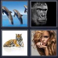 4 fotos 1 palabra 8 letras mamifero