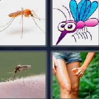 4 fotos 1 palabra 8 letras mosquito
