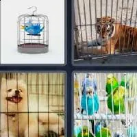 4 fotos 1 palabra 9 letras enjaulado